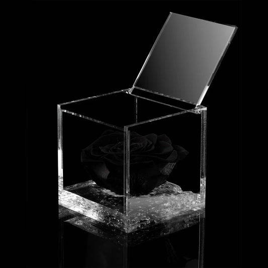 Blossom Love - cofanetto porta gioiello con rosa stabilizzata